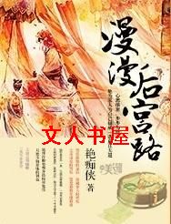漫漫后宫路封面