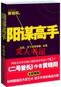 阳谋高手 阳谋高手