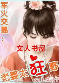 军火交易:老婆太狂野封面