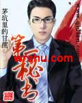 第一秘书 第一秘书