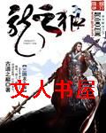 三国龙之狼封面