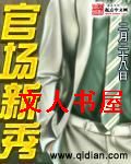 官场新秀 官场新秀