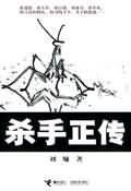 杀手正传 杀手正传