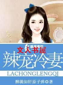 辣宠冷妻封面