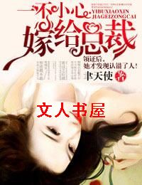 一不小心嫁给总裁封面
