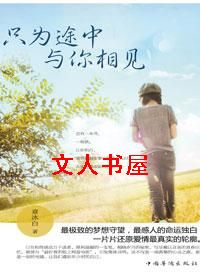 只为途中与你相见封面