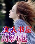 总裁,高攀不起封面
