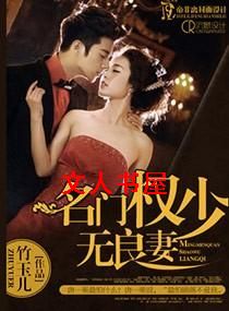名门权少无良妻封面