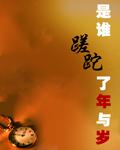 是谁蹉跎了年与岁封面