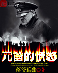 元首的愤怒 元首的愤怒