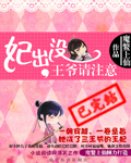 妃出没,王爷请注意封面