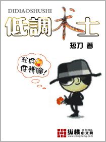低调术士 低调术士