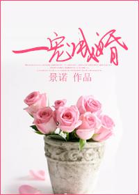 一宠成婚封面