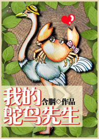 我的鸵鸟先生 我的鸵鸟先生