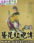 簪花红袍传 簪花红袍传