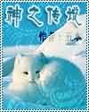 神之传说 神之传说