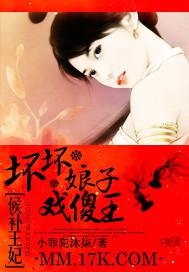 候补王妃坏坏娘子戏傻王 候补王妃坏坏娘子戏傻王