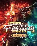 网游之至尊菜鸟 网游之至尊菜鸟