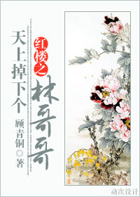 红楼之天上掉下个林哥哥 红楼之天上掉下个林哥哥