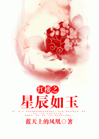 红楼之星辰如玉 红楼之星辰如玉
