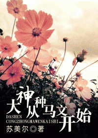 大神从种马文开始封面