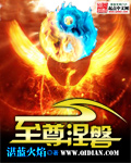 至尊涅磐 至尊涅磐