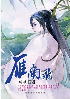 雁南飞 雁南飞
