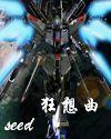 高达seed狂想曲 高达seed狂想曲