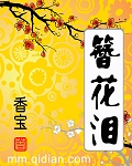 簪花泪 簪花泪