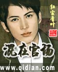 混在官场 混在官场