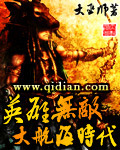 英雄无敌之大航海时代封面