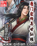 唐门宗师异世纵横封面