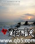 僵尸黑夜传说 僵尸黑夜传说