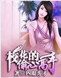 校花的偷心高手封面