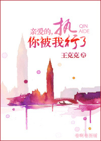 亲爱的,你被我执行了封面